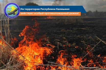 На территории Республики Калмыкия действует особый противопожарный режим